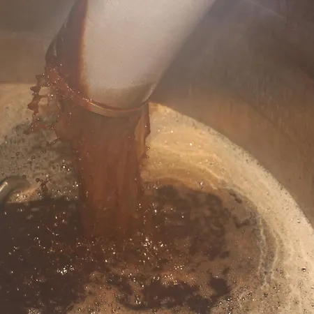 Tom Crean Base Camp - Food Drink Bed Gæstehus 3*