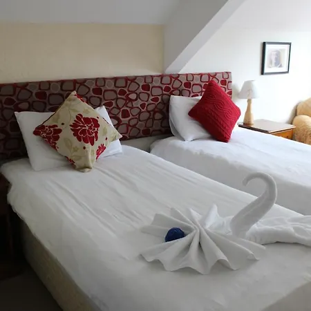 Tom Crean Base Camp - Food Drink Bed 3*